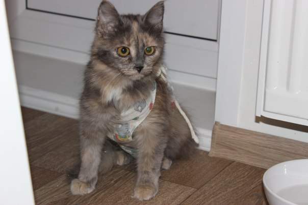 604 x 403 604 x 403 604 x 403 604 x 403 403 X 604  43.6 Kb  -    !