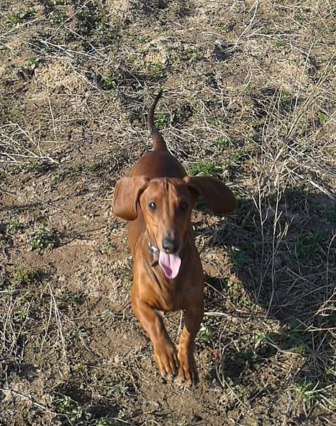 1049 X 1332 306.6 Kb   