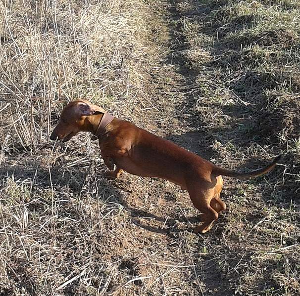 923 X 913 749.0 Kb 1280 X 1033 325.5 Kb 1049 X 1332 306.6 Kb   