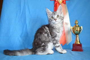 1920 X 1271 250.7 Kb 1920 X 2898 282.7 Kb  -