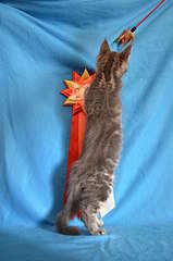 1920 X 2898 413.8 Kb 1920 X 1271 234.0 Kb 1920 X 2898 386.1 Kb 1920 X 1271 250.7 Kb 1920 X 2898 282.7 Kb  -