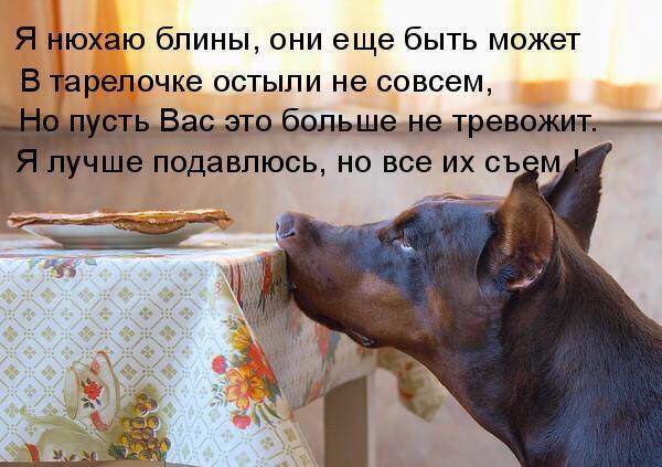 600 x 423 Улыбнемся?