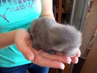 1024 X 768 149.3 Kb 944 X 768 141.6 Kb 768 X 1024 155.5 Kb 1024 X 768 149.3 Kb  ()