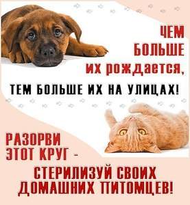 513 X 555  61.8 Kb  ()