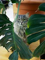 768 X 1024 185.9 Kb  ()