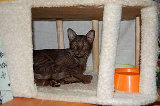 1920 X 1276 209.0 Kb 1920 X 1276 179.3 Kb  .     