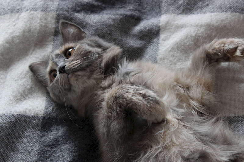 1920 X 1280 204.6 Kb  -    !