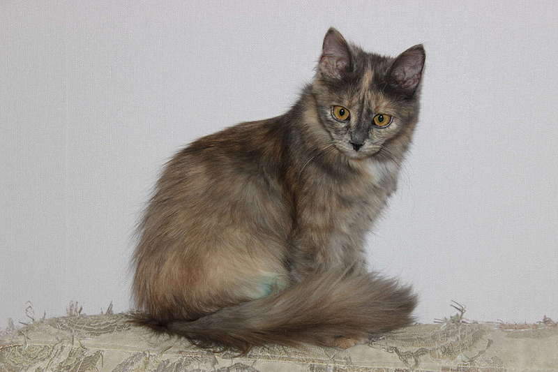 1920 X 1280 214.0 Kb  -    !