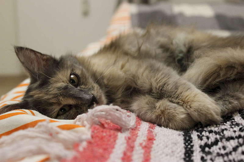 1920 X 1280 165.2 Kb  -    !