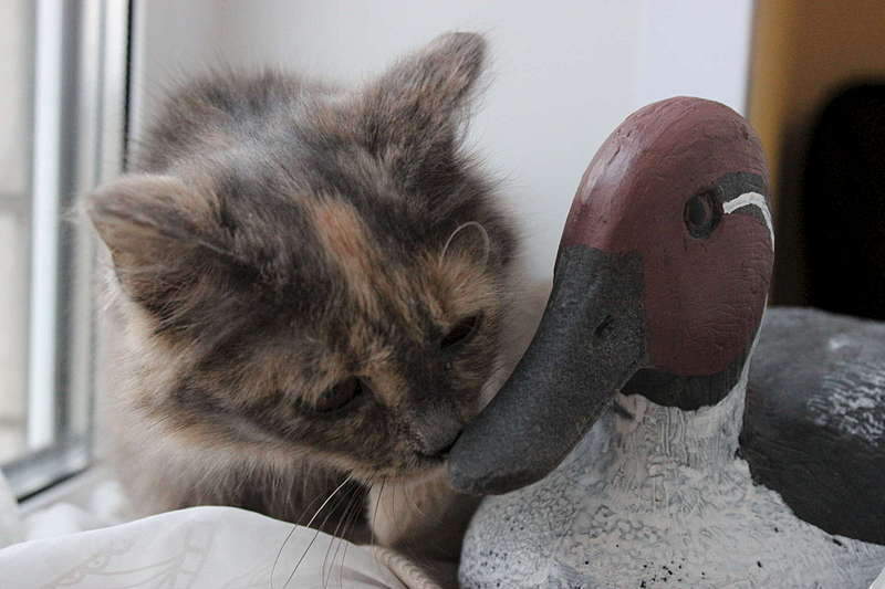 1920 X 1280 172.5 Kb  -    !