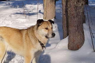 1920 X 1278 226.8 Kb  