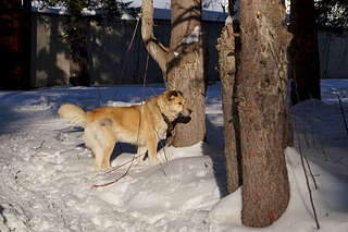 1920 X 1278 239.6 Kb 1920 X 1278 226.8 Kb  