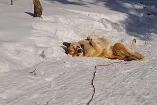 1920 X 1278 232.1 Kb 1920 X 1278 239.6 Kb 1920 X 1278 226.8 Kb  