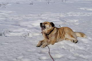 1920 X 1278 223.4 Kb 1920 X 1278 232.1 Kb 1920 X 1278 239.6 Kb 1920 X 1278 226.8 Kb  