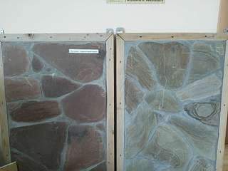 1920 X 1440 175.1 Kb 640 X 480 112.7 Kb 629 X 294 278.2 Kb       . 242-342