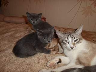 1280 X 960 205.0 Kb 1280 X 960 247.1 Kb 1920 X 1440 209.3 Kb 1280 X 960 215.0 Kb     