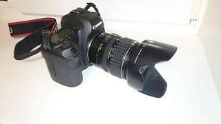 1920 X 1080 89.8 Kb   Canon 5D mark II