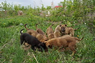 1920 X 1275 462.7 Kb 1920 X 1275 475.8 Kb ,    !  - 8