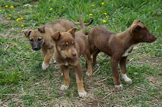 1920 X 1275 349.3 Kb 1920 X 1275 473.0 Kb ,    !  - 8