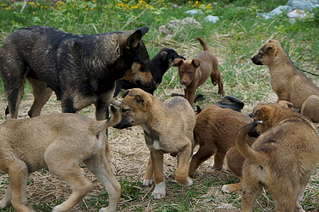 1920 X 1275 300.6 Kb 1920 X 1275 349.3 Kb 1920 X 1275 473.0 Kb ,    !  - 8