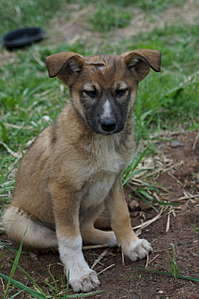 847 X 1275 144.6 Kb ,    !    .