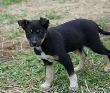 1920 X 1631 195.5 Kb 847 X 1275 144.6 Kb ,    !    .