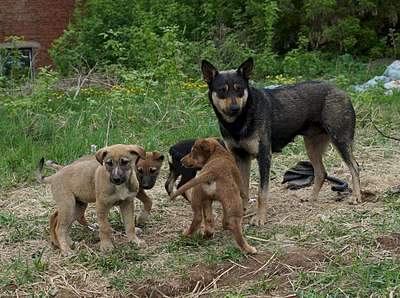 1920 X 1432 455.9 Kb ,    !    .