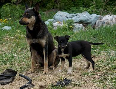 1920 X 1480 384.5 Kb 1920 X 1275 316.7 Kb 1920 X 1432 455.9 Kb ,    !    .