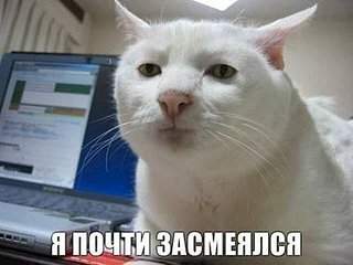 420 X 315  24.2 Kb (18+)   .    -  'Izh-beer'