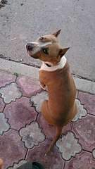 607 X 1079  80.1 Kb     !!