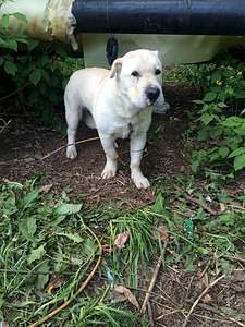 1536 X 2048 799.1 Kb .  -,  