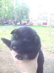 1200 X 1600 225.7 Kb 1200 X 1600 221.5 Kb 1200 X 1600 337.7 Kb        . .