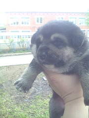 1200 X 1600 245.6 Kb 1200 X 1600 225.7 Kb 1200 X 1600 221.5 Kb 1200 X 1600 337.7 Kb        . .