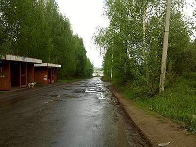 1920 X 1440 444.2 Kb неспящие в ижевске. до лета осталось сколько-то там дня
