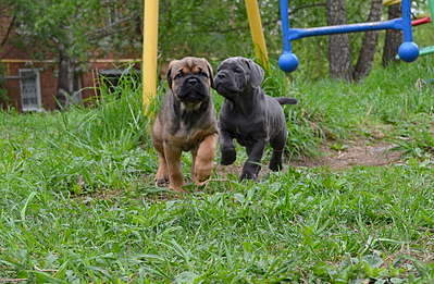 1920 X 1255 381.5 Kb   