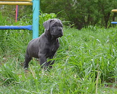 1538 X 1238 303.6 Kb 1920 X 1255 381.5 Kb   