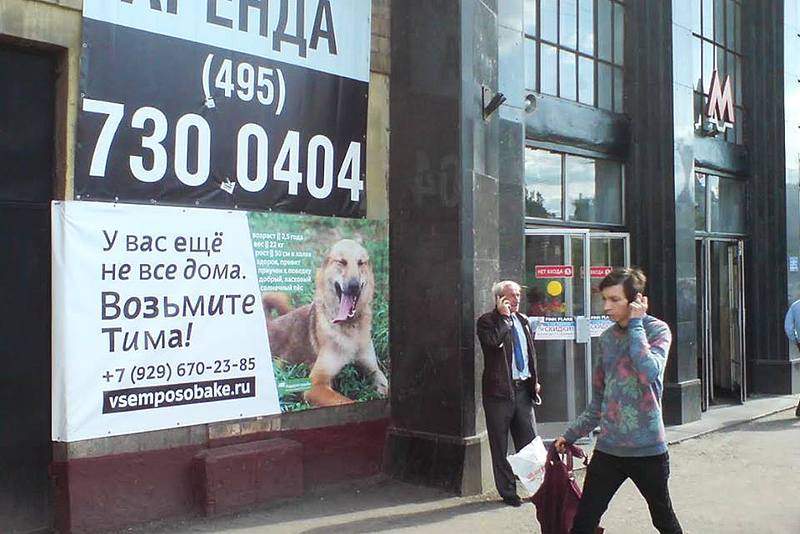 960 X 641  77.8 Kb 960 X 717 100.1 Kb 960 X 720 138.0 Kb   .