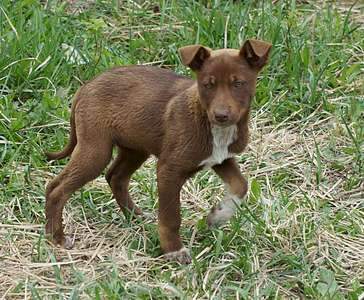 1920 X 1582 461.8 Kb ,    !    .