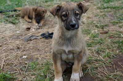 1920 X 1275 249.0 Kb ,    !    .