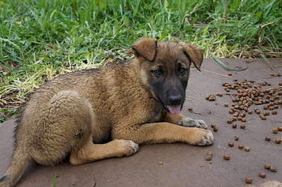 1920 X 1275 308.8 Kb 1920 X 1275 249.0 Kb ,    !    .