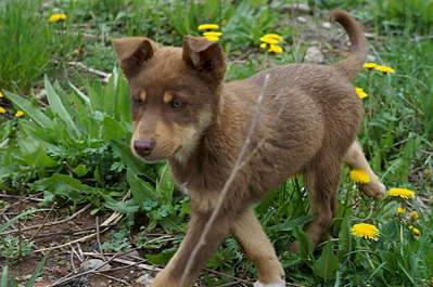 1920 X 1275 264.6 Kb ,    !    .