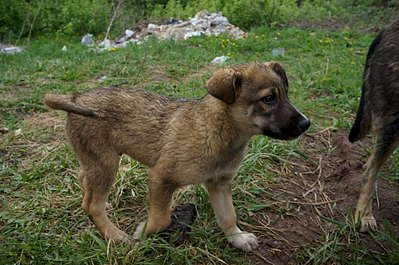 1920 X 1275 306.7 Kb 1920 X 1275 393.0 Kb 1920 X 1275 264.6 Kb ,    !    .