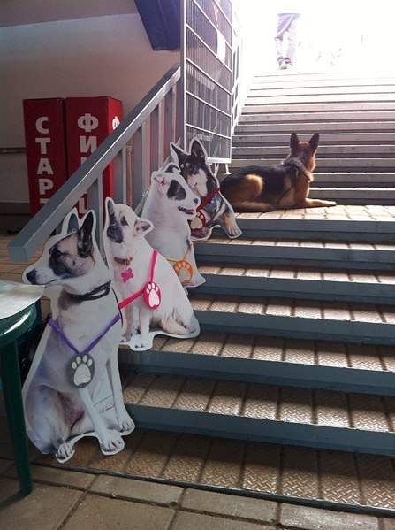 716 X 960 146.4 Kb   .