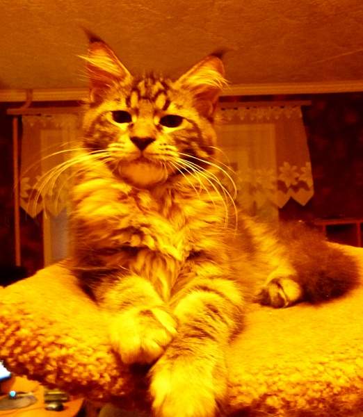 1287 X 1479 720.5 Kb -  -!