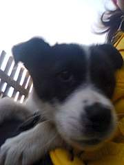 768 X 1024 150.3 Kb Sos sos ����� ��� ��������� � ��� ������ � � ���� ��� ���.����������