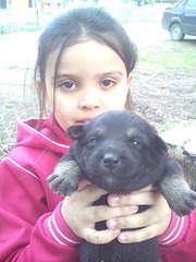 1200 X 1600 255.8 Kb        . .