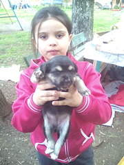 1200 X 1600 274.3 Kb 1200 X 1600 255.8 Kb        . .