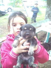 1200 X 1600 267.7 Kb 1200 X 1600 274.3 Kb 1200 X 1600 255.8 Kb        . .