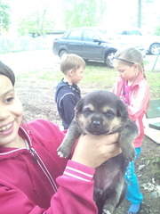 1200 X 1600 244.3 Kb 1200 X 1600 269.1 Kb 1200 X 1600 267.7 Kb 1200 X 1600 274.3 Kb 1200 X 1600 255.8 Kb        . .