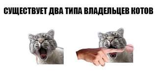 604 X 276  22.3 Kb Улыбнемся?